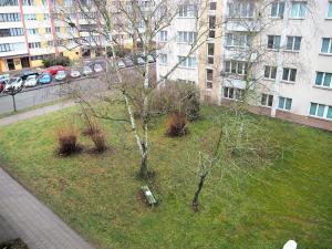 Pronájem bytu 1+kk, Hradec Králové, Severní, 21 m2