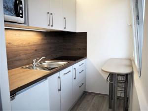 Pronájem bytu 1+kk, Hradec Králové, Severní, 21 m2