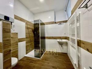 Pronájem bytu 4+1, Teplice, Krupská, 120 m2