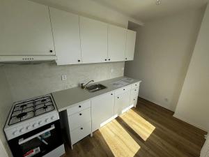 Pronájem bytu 1+1, Nový Jičín, Luční, 38 m2