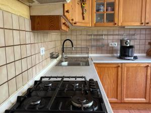 Prodej bytu 3+1, Karlovy Vary, Gagarinova, 79 m2