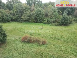 Pronájem bytu 1+1, Spálené Poříčí, Zámecká, 39 m2