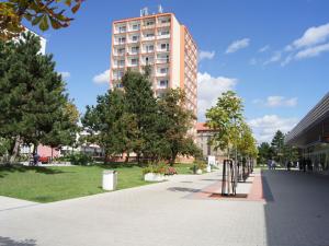 Prodej bytu 2+1, Kladno - Kročehlavy, Vrchlického, 52 m2