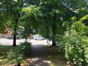 Prodej bytu 1+kk, České Budějovice - České Budějovice 3, Pekárenská, 21 m2