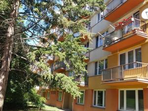 Prodej bytu 1+kk, České Budějovice - České Budějovice 3, Pekárenská, 21 m2