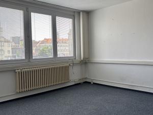 Pronájem kanceláře, Plzeň, Modřínová, 27 m2