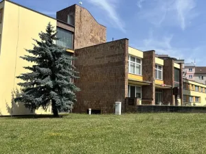 Pronájem kanceláře, Plzeň - Východní Předměstí, Modřínová, 27 m2