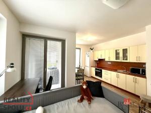 Pronájem bytu 2+kk, Kvasiny, 48 m2