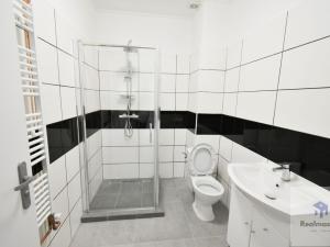 Pronájem bytu 1+1, Ústí nad Labem - Střekov, Novosedlické náměstí, 65 m2