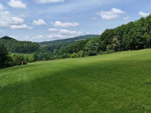 Prodej podílu zemědělské usedlosti, Bradlecká Lhota, 394 m2