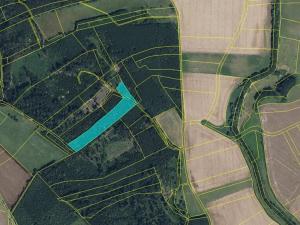 Prodej louky, Vilantice, 145881 m2