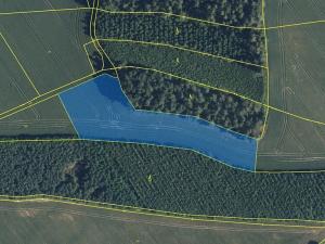 Prodej louky, Libotov, 145881 m2