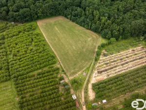 Prodej pozemku pro bydlení, Těchlovice, 11163 m2