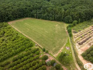 Prodej pozemku pro bydlení, Těchlovice, 11163 m2