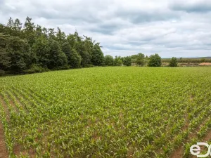 Prodej pozemku pro bydlení, Těchlovice, 11163 m2