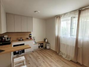 Pronájem bytu 1+kk, Praha - Strašnice, Strančická, 25 m2