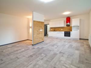 Pronájem bytu 1+kk, Plzeň - Bolevec, Plaská, 51 m2