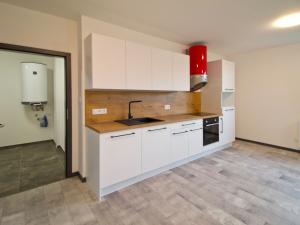 Pronájem bytu 1+kk, Plzeň - Bolevec, Plaská, 51 m2