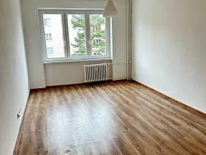 Pronájem bytu 2+1, Most, Maxe Švabinského, 55 m2