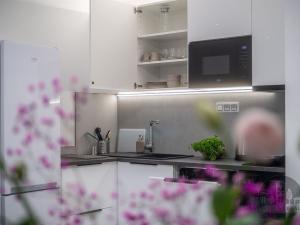 Pronájem bytu 2+kk, Praha - Karlín, Sokolovská, 40 m2