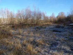 Prodej komerčního pozemku, Horní Řasnice, 90411 m2