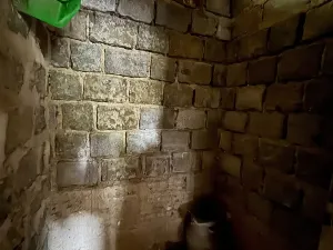 Pronájem chaty, Praha - Dejvice, Na Pučálce, 19 m2