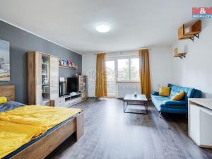 Pronájem bytu 2+kk, Stříbro, Husova, 65 m2