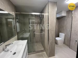 Pronájem bytu 1+1, Ostrava, Poděbradova, 50 m2