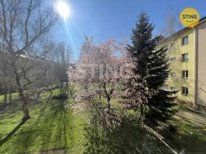 Pronájem bytu 1+1, Ostrava, Poděbradova, 50 m2