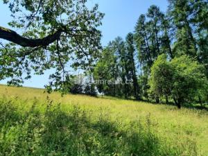 Prodej rodinného domu, Rovensko pod Troskami, Hrabalka, 170 m2