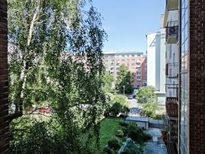Pronájem bytu 4+1, Brno - Veveří, Grohova, 96 m2