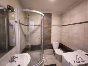 Pronájem bytu 1+kk, Návsí, 25 m2