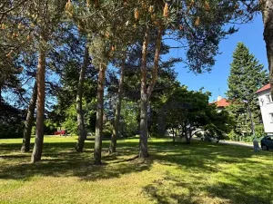 Prodej bytu 1+kk, Žďár nad Sázavou, 34 m2