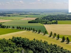 Prodej zemědělské usedlosti, Zádolí, 1100 m2