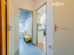 Prodej bytu 1+kk, Písek, Hostivítova, 30 m2