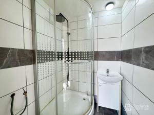 Pronájem bytu 1+1, Sokolov, Švabinského, 44 m2