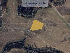 Prodej pole, Blovice, 8545 m2
