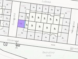 Dražba bytu 2+1, Praha - Vinohrady, Šumavská, 61 m2
