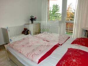 Pronájem bytu 2+1, Uherské Hradiště, Štěpnická, 56 m2
