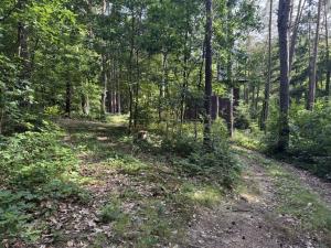 Prodej chaty, Krňany - Teletín, 44 m2