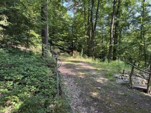 Prodej chaty, Krňany - Teletín, 44 m2