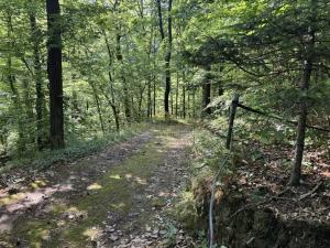 Prodej chaty, Krňany - Teletín, 44 m2