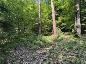 Prodej chaty, Krňany - Teletín, 44 m2