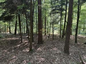 Prodej chaty, Krňany - Teletín, 44 m2