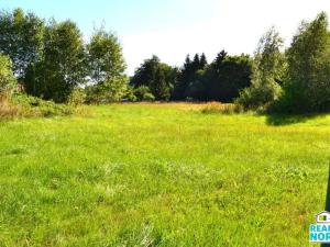 Prodej pozemku pro bydlení, Rybniště, 6043 m2