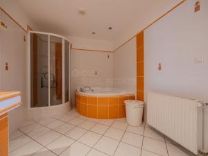 Prodej skladu, Bílovec, 650 m2