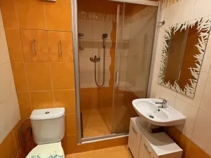 Pronájem bytu 1+1, Ústí nad Labem, Zvonková, 36 m2
