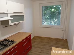 Pronájem bytu 4+kk, Brno, Popelákova, 98 m2