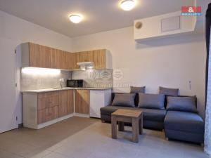 Pronájem bytu 1+kk, Milovice - Mladá, Armádní, 23 m2