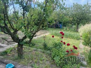 Prodej zahrady, Opava, Zahradní, 10 m2